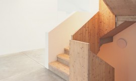 Etiam commodo convallis